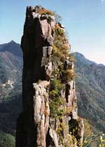 岱岳天氣預報15天查詢