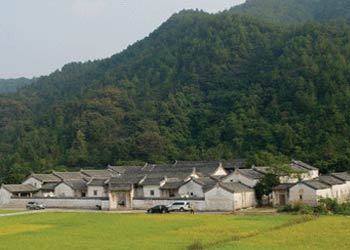 大埔天氣預報15天查詢