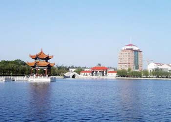 東明天氣預報15天查詢