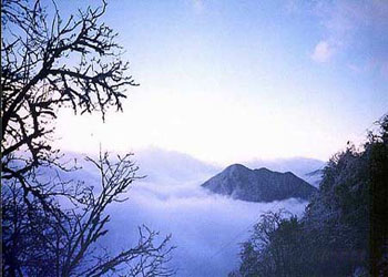 峨邊天氣預(yù)報(bào)15天查詢