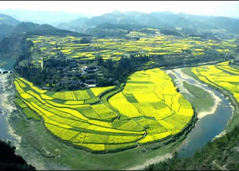鳳岡天氣預(yù)報15天查詢