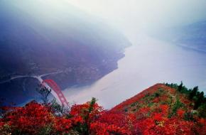 奉節天氣預報15天查詢