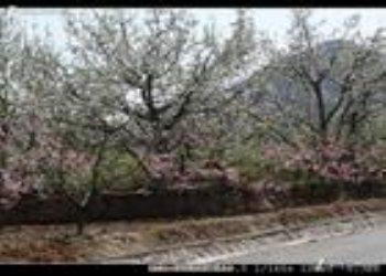 皋蘭天氣預(yù)報15天查詢
