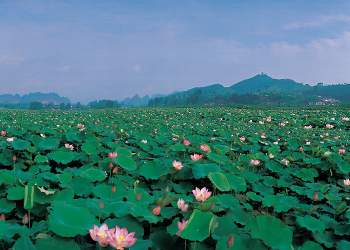 廣昌天氣預(yù)報(bào)15天查詢