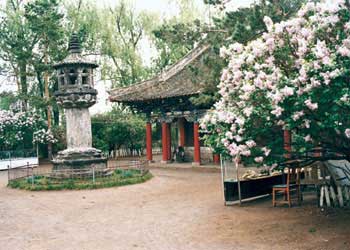 黑水天氣預(yù)報(bào)15天查詢