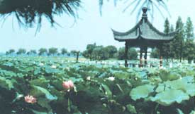 洪山天氣預(yù)報(bào)15天查詢