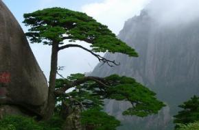 黃山區(qū)天氣預報15天查詢