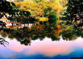花溪天氣預(yù)報(bào)15天查詢(xún)