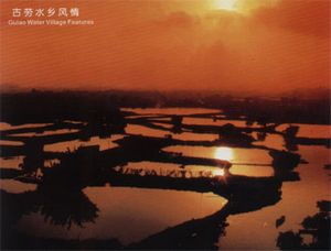 鶴山天氣預報15天查詢