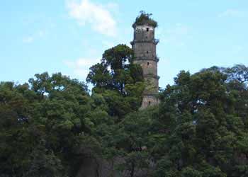 藍山天氣預報15天查詢