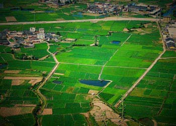 連城天氣預(yù)報(bào)15天查詢