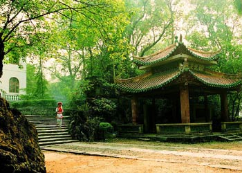 連州天氣預(yù)報(bào)15天查詢