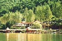 龍山天氣預報15天查詢
