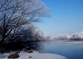 林口天氣預報15天查詢