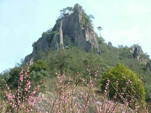 麗水天氣預(yù)報(bào)15天查詢
