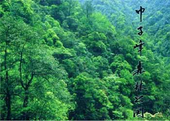 慶元天氣預報15天查詢