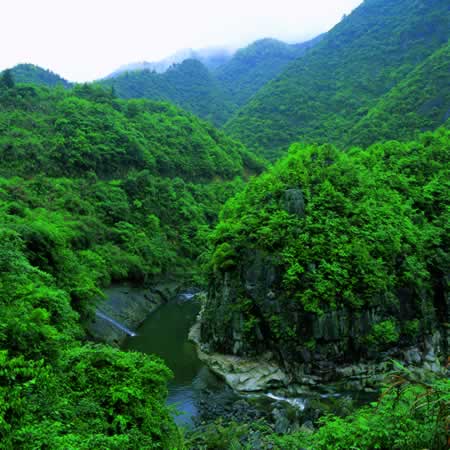 龍灣天氣預報15天查詢