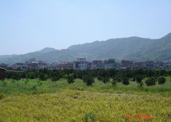 美姑天氣預(yù)報(bào)15天查詢