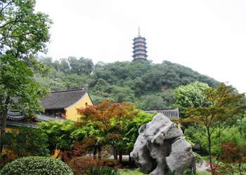 蒙城天氣預報15天查詢