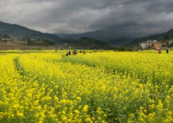 閩侯天氣預(yù)報(bào)15天查詢