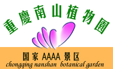 南岸天氣預(yù)報(bào)15天查詢