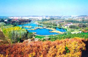 南關(guān)天氣預(yù)報(bào)15天查詢