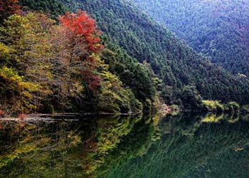 南雄天氣預報15天查詢