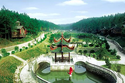 寧國天氣預報15天查詢