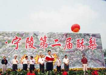寧陵天氣預報15天查詢