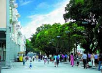 蓬江天氣預報15天查詢