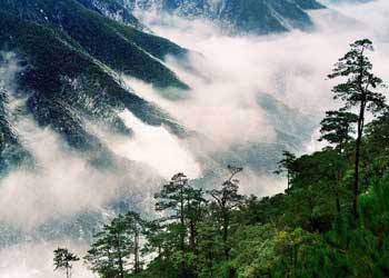 鉛山天氣預(yù)報15天查詢