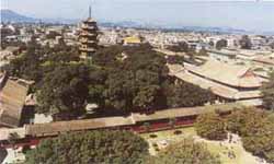 鯉城天氣預報15天查詢