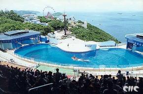 沙田天氣預報15天查詢