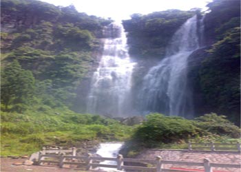 泰順天氣預報15天查詢