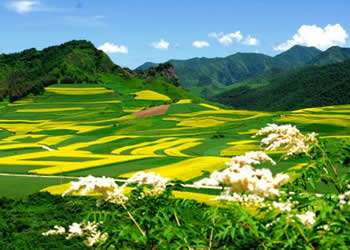 渭源天氣預報15天查詢