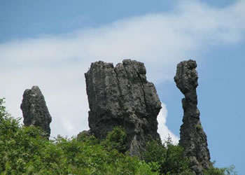 務川天氣預報15天查詢