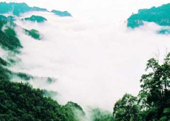 咸寧天氣預報15天查詢