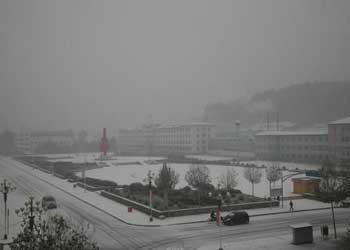 新林天氣預報15天查詢