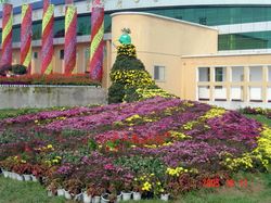 許昌縣天氣預報15天查詢