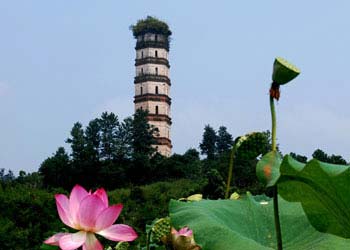 宜黃天氣預(yù)報(bào)15天查詢(xún)