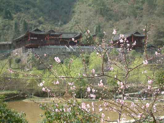 酉陽天氣預報15天查詢