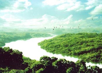 廉江天氣預(yù)報15天查詢