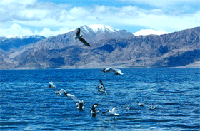 阿里班公湖天氣