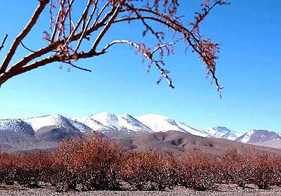 阿里噶爾縣天氣