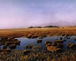 酒泉鹽池灣天氣