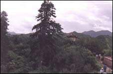 定西遮陽山天氣