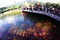 定西玉湖公園天氣