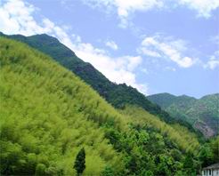 甘南達力加山天氣