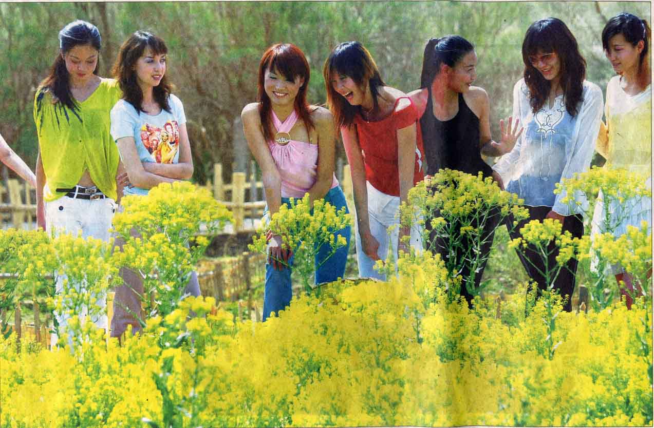 吐魯番沙漠生態旅游風景區天氣