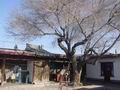 哈密巴里坤縣古民宅天氣